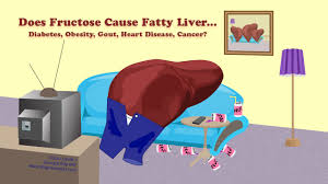 Does Fructose Cause Fatty Liver?