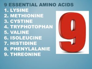 Healthy vegetarian eating after bariatric surgery 9 essential amino acids 
