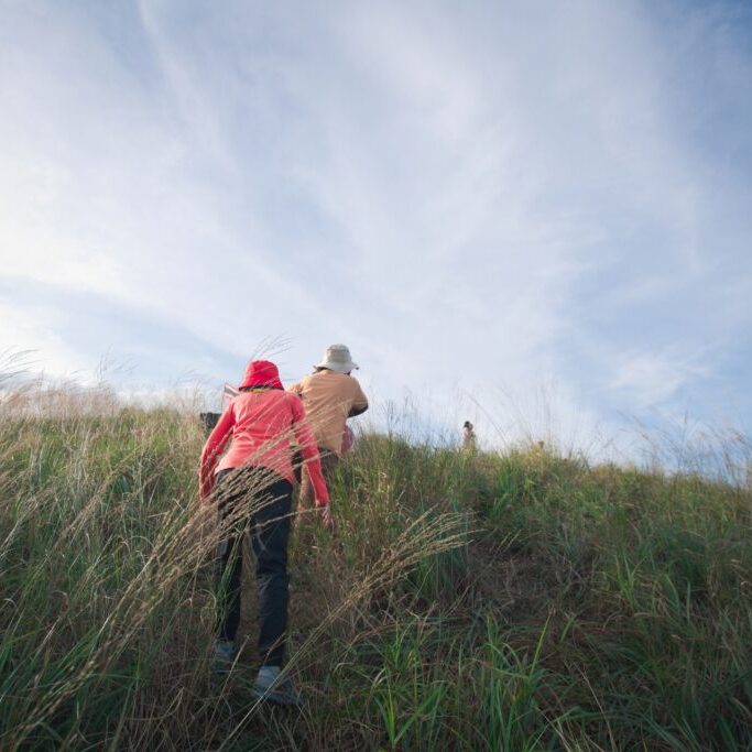 hiking group on mountain at Khao Chang Phuak, Thongphaphoom National Park, Kanchanaburi Province, Thailand. Subject is blurred, noise and color effect.