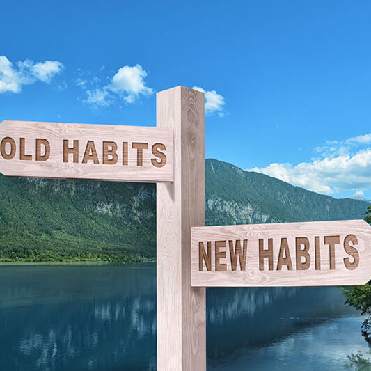two signs saying "old habits" and "new habits" pointing in oposite directions in front of mountains and blue lake